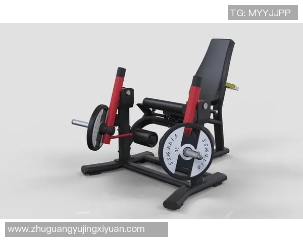 探索体育器材与健身器材的完美结合助力健康生活新方式